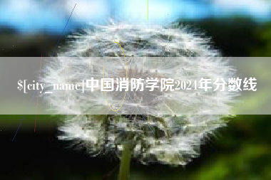 临海中国消防学院2024年分数线
