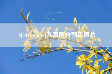 临海九宫图分割线图片