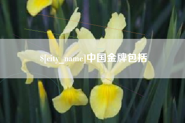 临海中国金牌包括