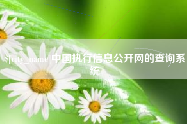 临海中国执行信息公开网的查询系统