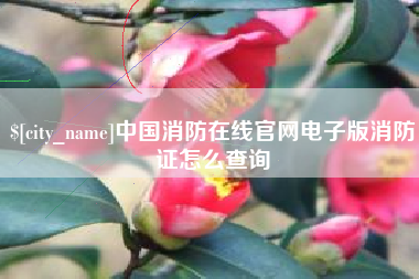 临海中国消防在线官网电子版消防证怎么查询