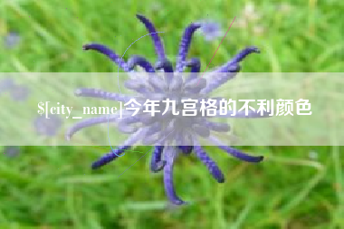 临海今年九宫格的不利颜色