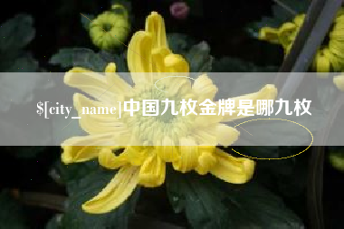 临海中国九枚金牌是哪九枚