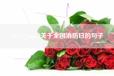 临海关于全国消防日的句子