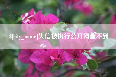 临海失信被执行公开网查不到