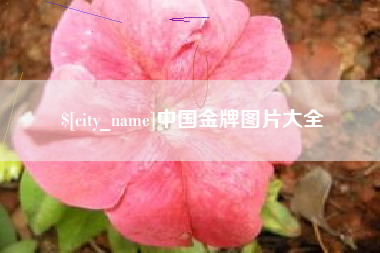 临海中国金牌图片大全