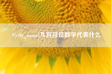 临海九宫宫位数字代表什么