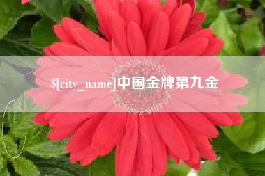 临海中国金牌第九金