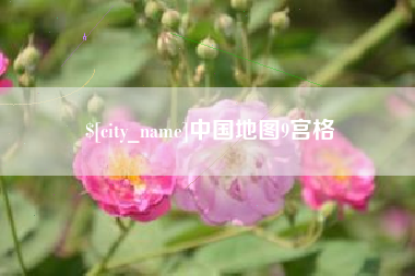临海中国地图9宫格