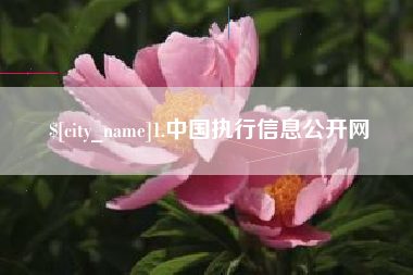 临海1.中国执行信息公开网