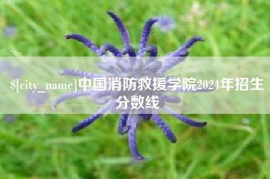 临海中国消防救援学院2024年招生分数线