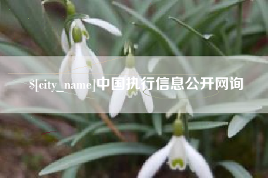 临海中国执行信息公开网询