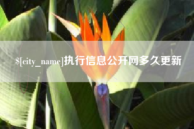 临海执行信息公开网多久更新