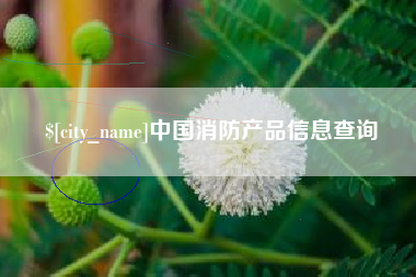 临海中国消防产品信息查询