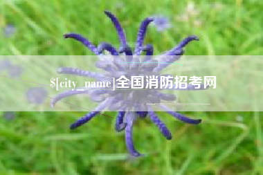 临海全国消防招考网