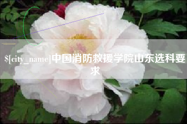 临海中国消防救援学院山东选科要求