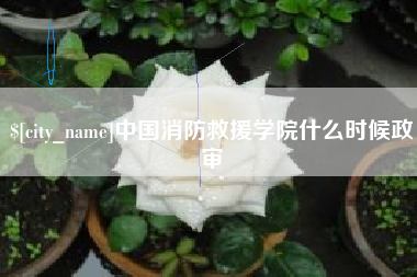 临海中国消防救援学院什么时候政审