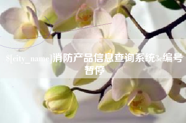 临海消防产品信息查询系统3c编号暂停