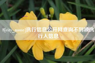 临海执行信息公开网查询不到被执行人信息