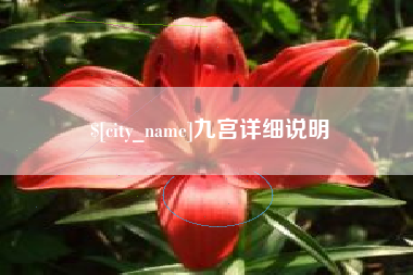 临海九宫详细说明