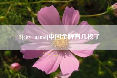 临海中国金牌有几枚了