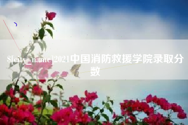 临海2021中国消防救援学院录取分数