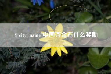 临海中国夺金有什么奖励