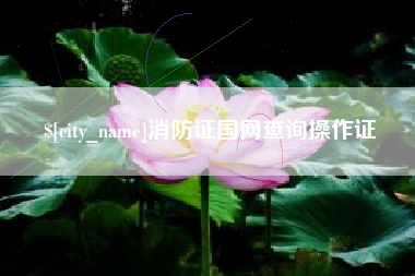 临海消防证国网查询操作证