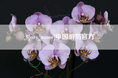 临海中国消防官方