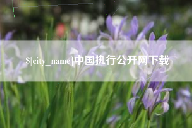 临海中国执行公开网下载
