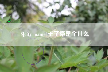 临海王子豪是个什么