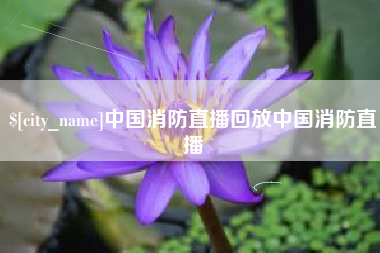 临海中国消防直播回放中国消防直播