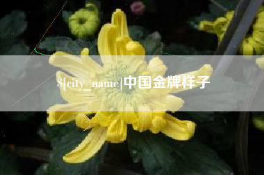 临海中国金牌样子