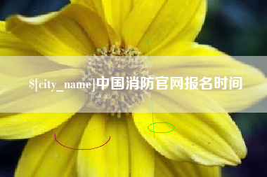 临海中国消防官网报名时间