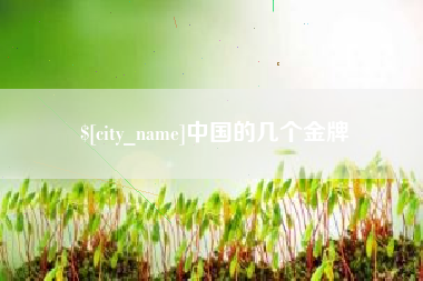 临海中国的几个金牌