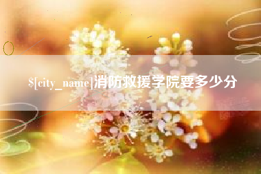 临海消防救援学院要多少分