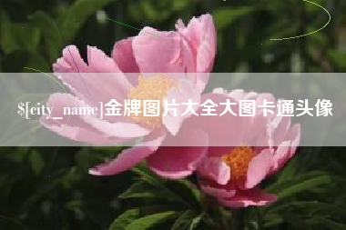 临海金牌图片大全大图卡通头像