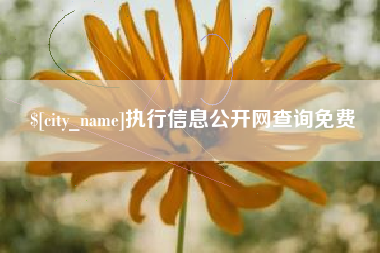 临海执行信息公开网查询免费
