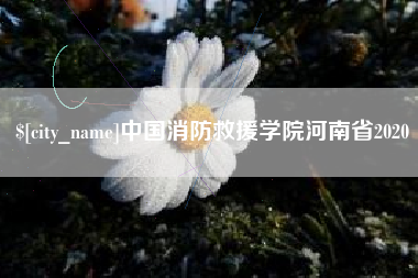 临海中国消防救援学院河南省2020